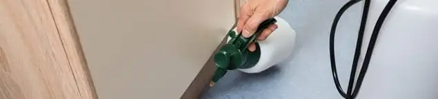 Bed bug exterminator treating baseboards and cracks with targeted spray in Arlington, TX