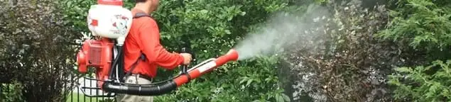 Mosquito control technician fogging shrubs and landscaping for mosquito treatment in Arlington, TX