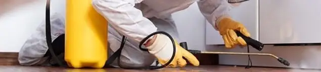 Roach exterminator treating cracks and crevices along kitchen baseboards in Arlington, TX
