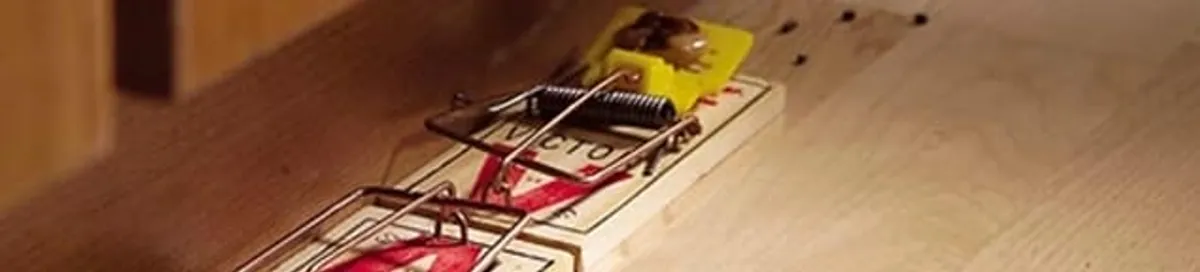 Rodent trap set indoors for rodent control and prevention in Arlington, TX
