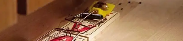 Rodent trap set indoors for rodent control and prevention in Arlington, TX
